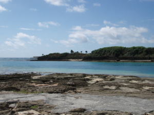 okinawa1109.jpg