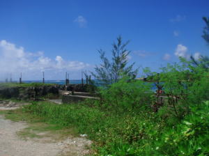 okinawa0914w.jpg