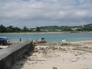okinawa1117d.jpg