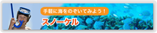 沖縄シュノーケル