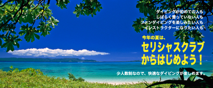 ダイビング沖縄